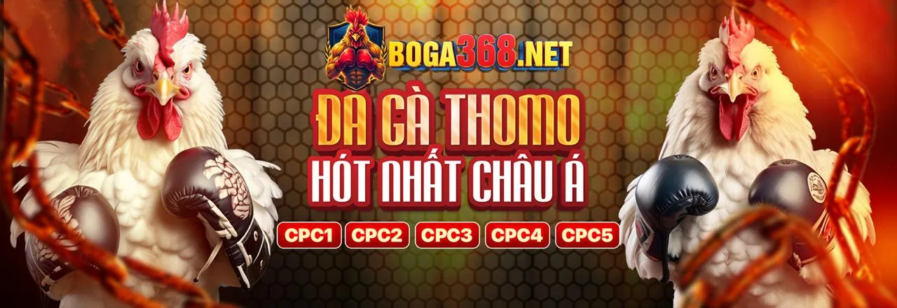 Lô đề online tại kèo nhà cái 55 kinh nghiệm hay
